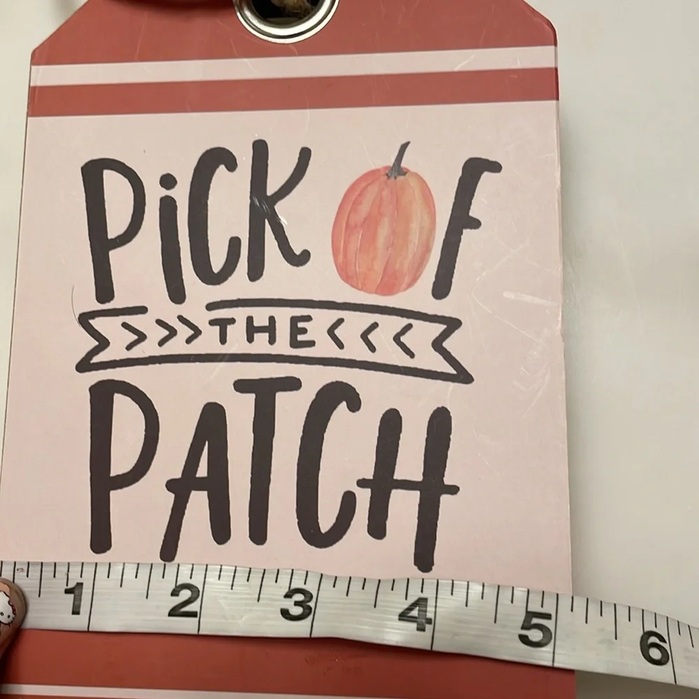Ashland fall decorative accent “Pick of the Patch” - Picture 5 of 5